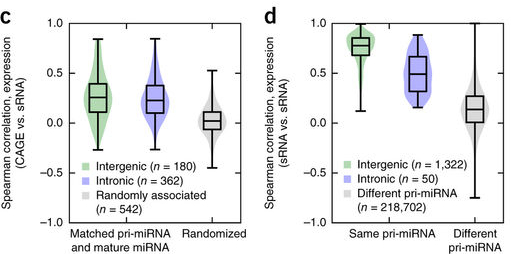 人和小鼠miRNAs及其启动子的整合表达图谱