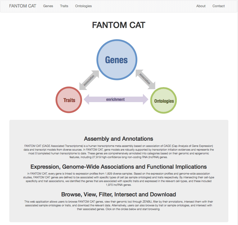 FANTOM CAT浏览器