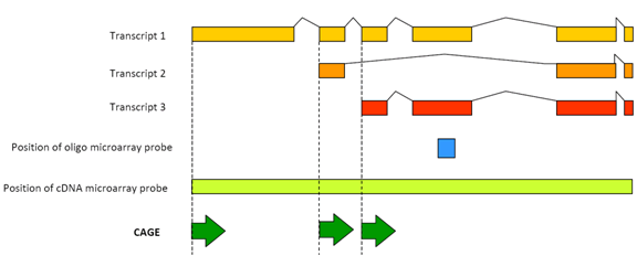 fig01