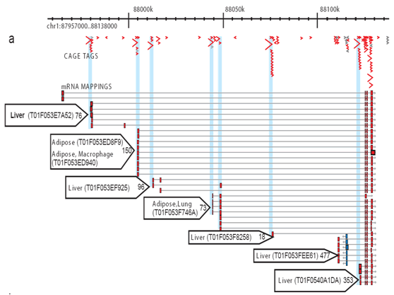 fig02